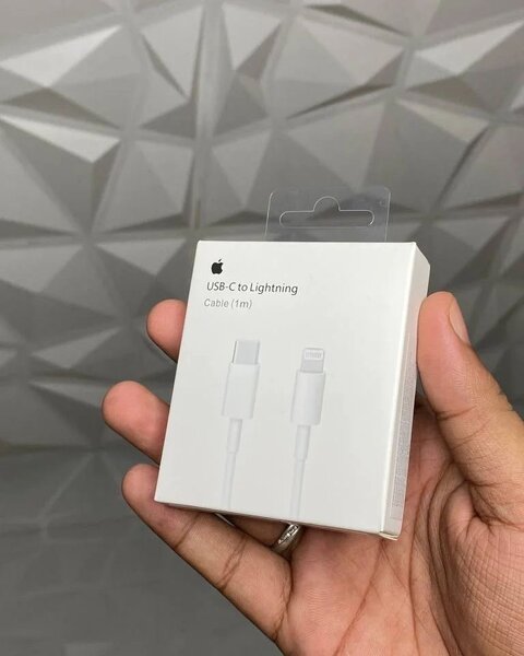 Chargeur iPhone Original