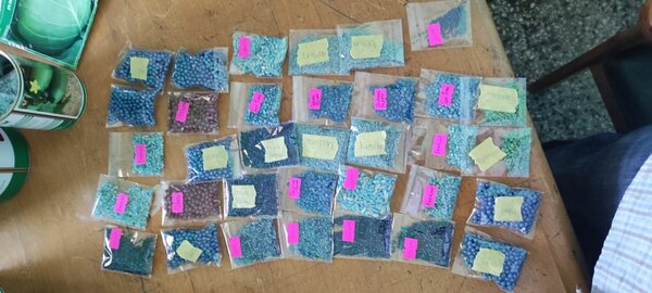 Seeds (repackaged) and seedlings