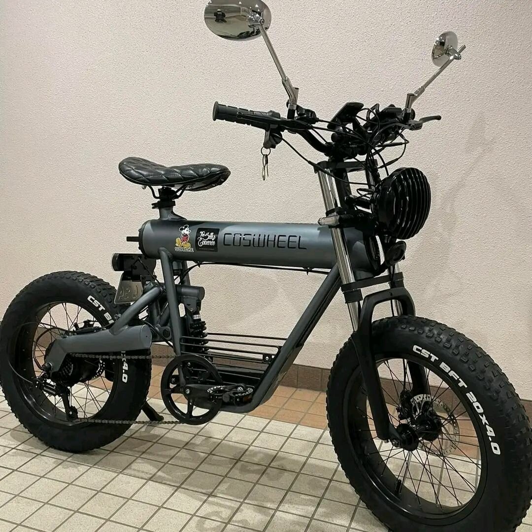 Vélos électriques tout-terrain