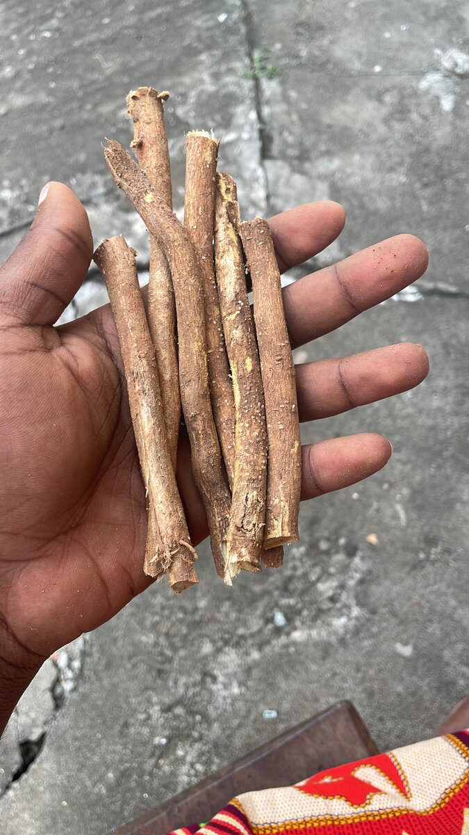 Bâton de cure dent gouro