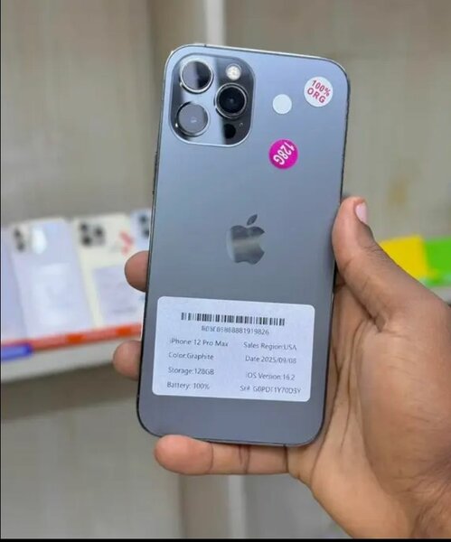iPhone 12 Pro Max Gris 128GB