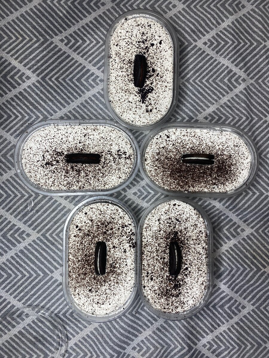Tiramisu oreo