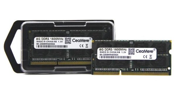 Module RAM 8Go DDR3 1600MHz