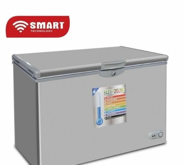 Congélateur Coffre Smart