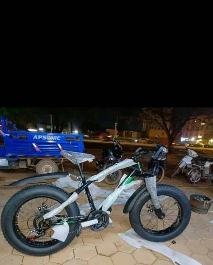 Vélo Électrique Fat Bike tout terrain