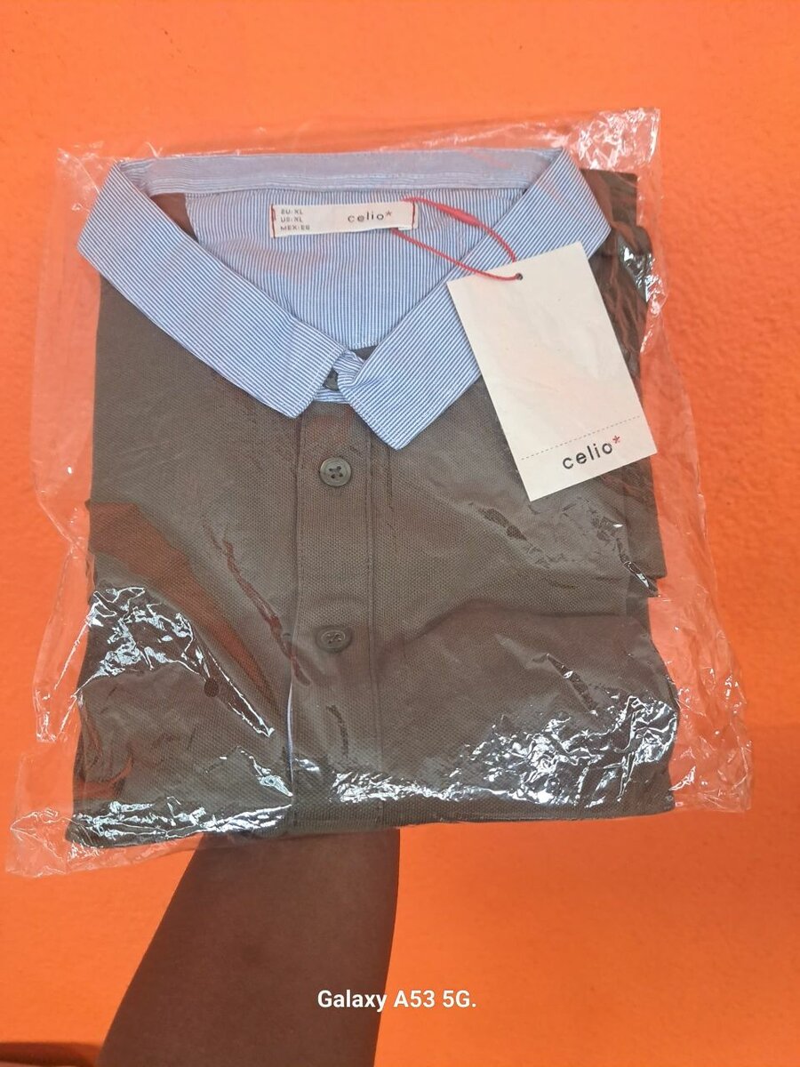Polo Homme
