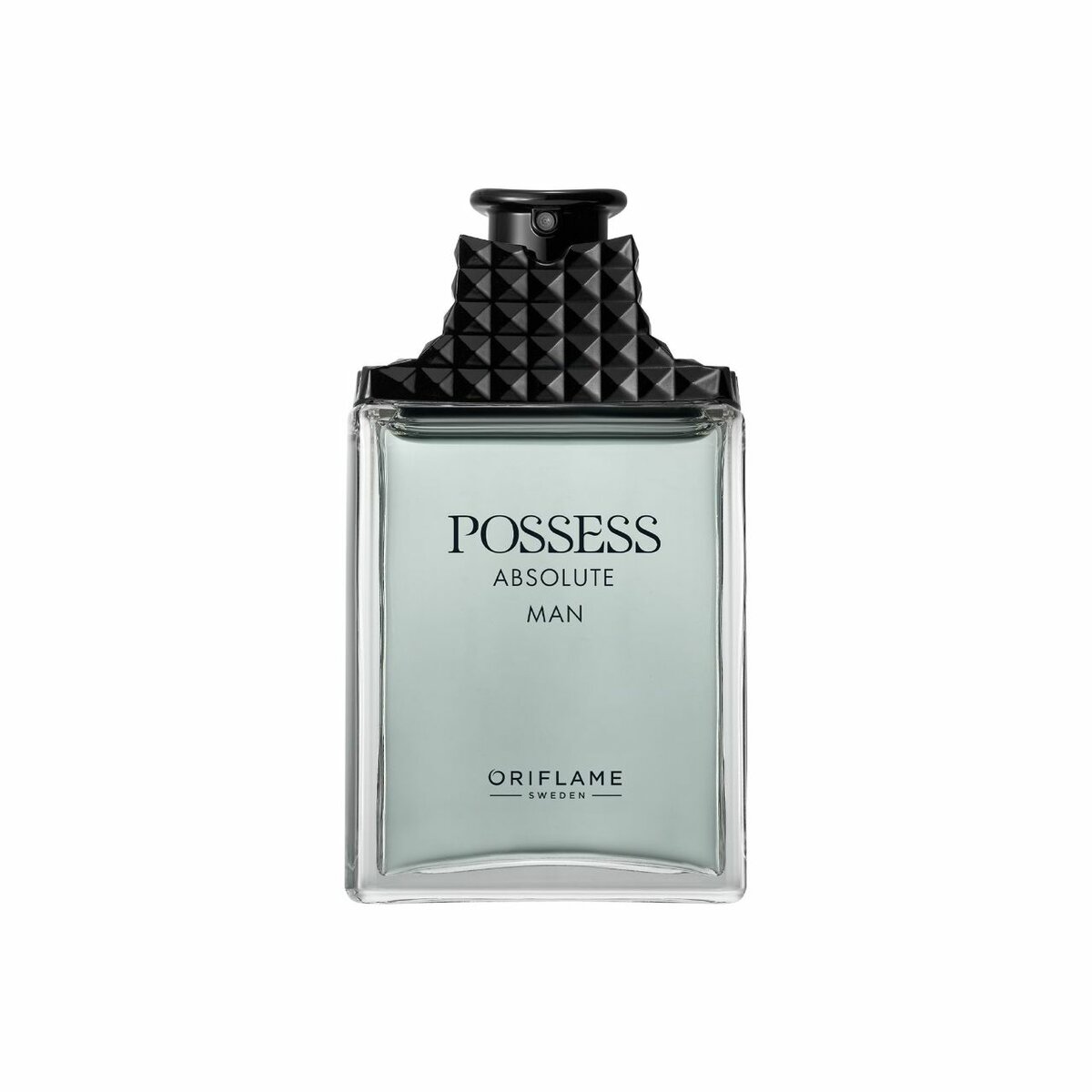 Possess Absolute Man Edp