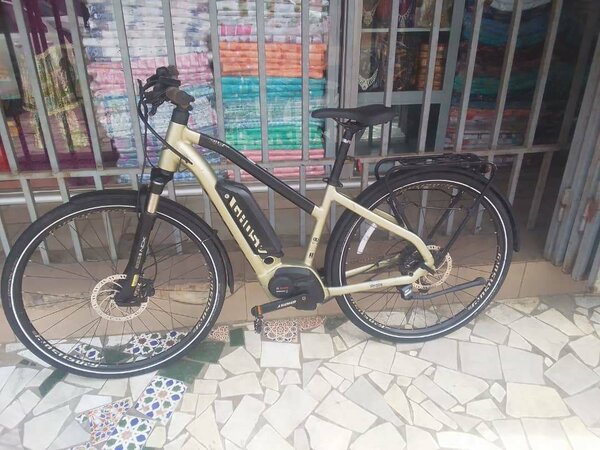 Vélo électrique performant