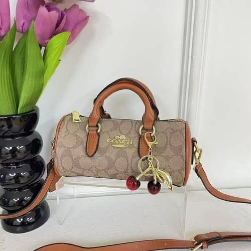 Sacs à main Coach élégants