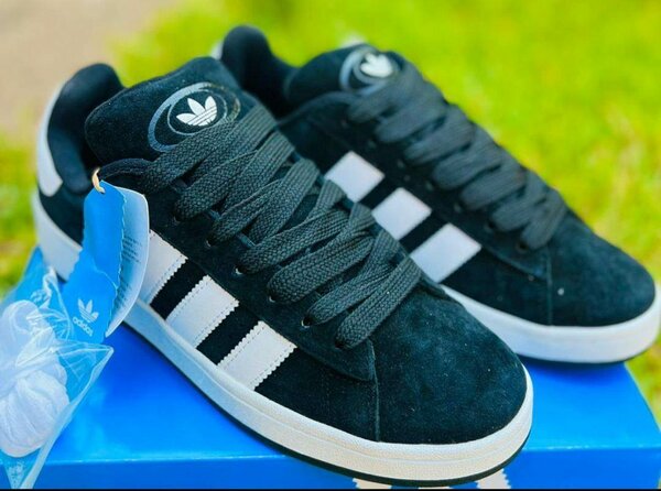 Adidas compus