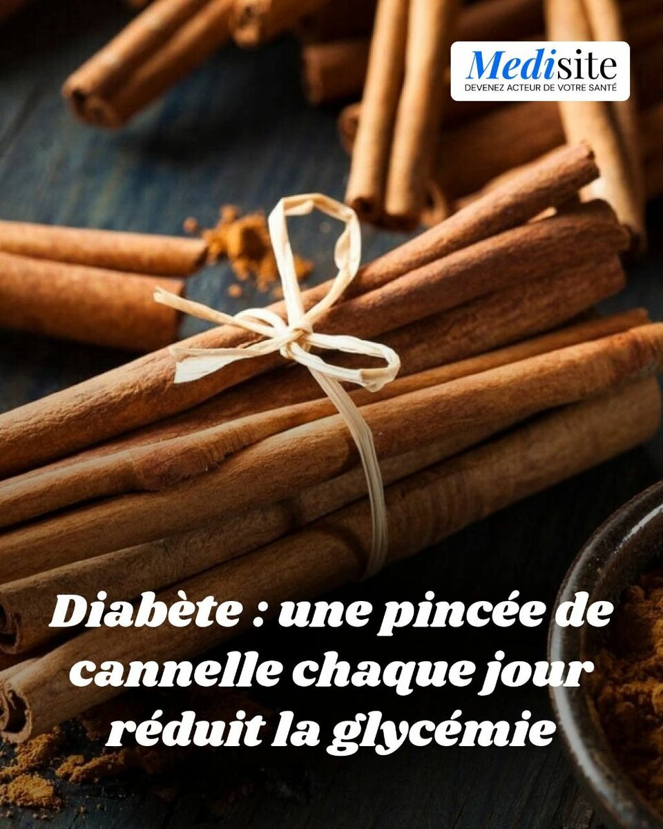 Cannelle en bâtons bio santé