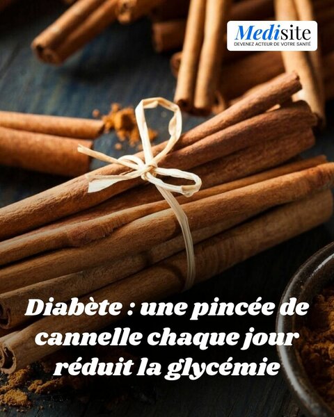 Cannelle en bâtons bio santé