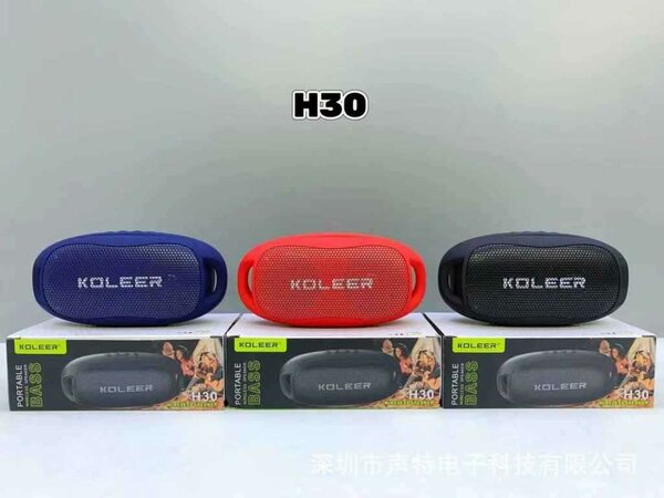 Koleer H30