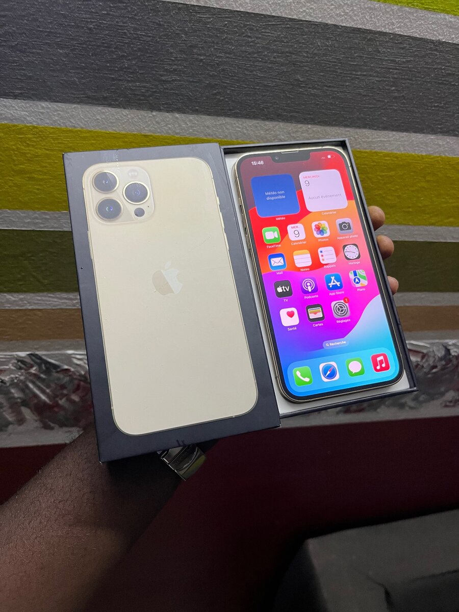 iPhone 13 Pro Max 256GB