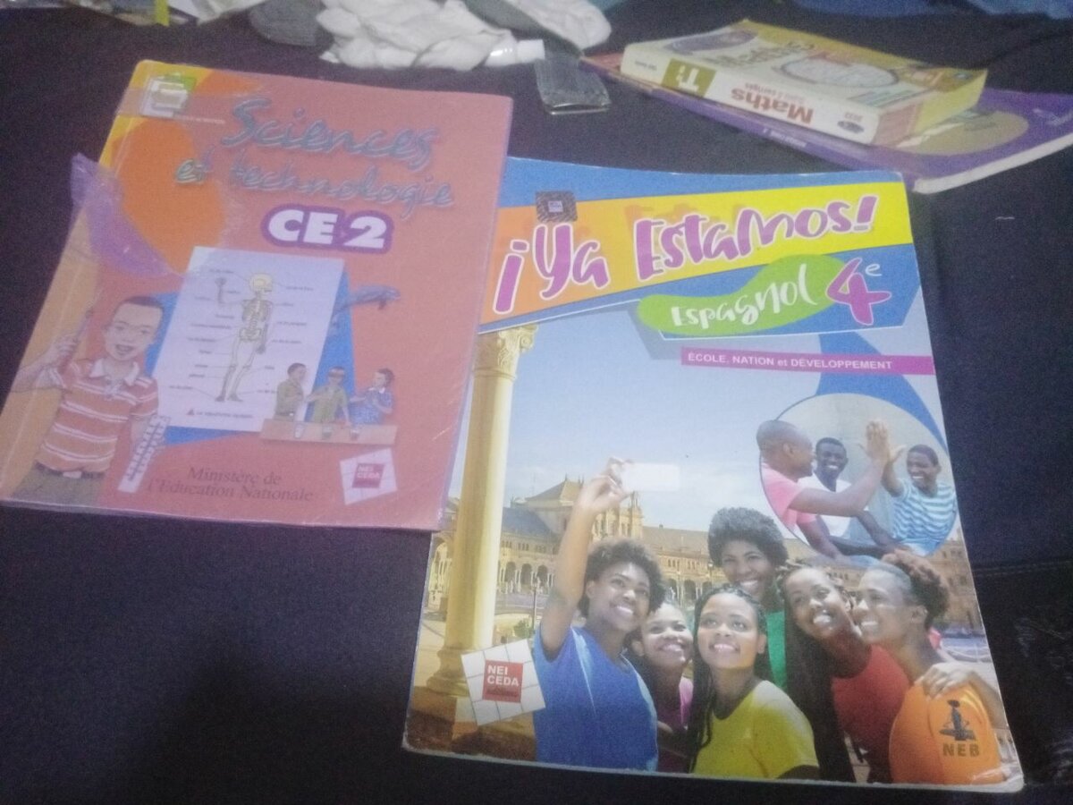 Lot de manuels scolaires variés