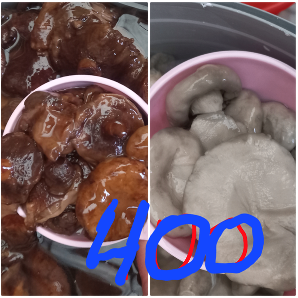 Иссык кульские горные грибы