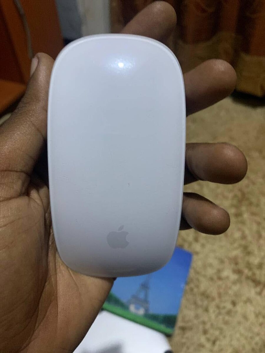 Magic Mouse 2