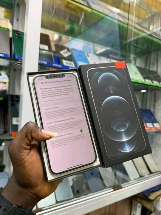 iPhone 12 Pro Max 256GB argent