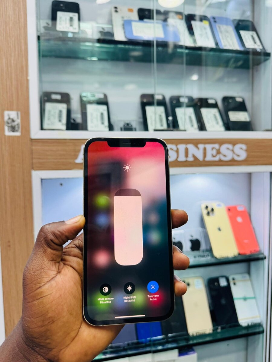 iPhone 12 Pro Max 128Go tout