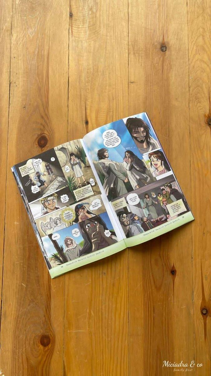 Manga Les Champions