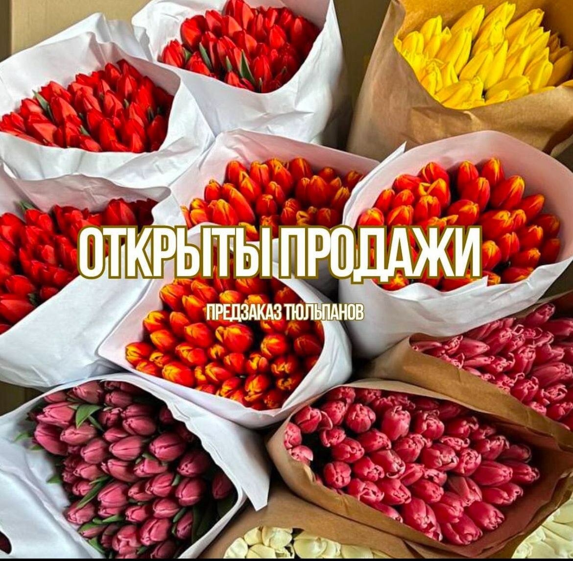 Тюльпаны оптом цена договорная