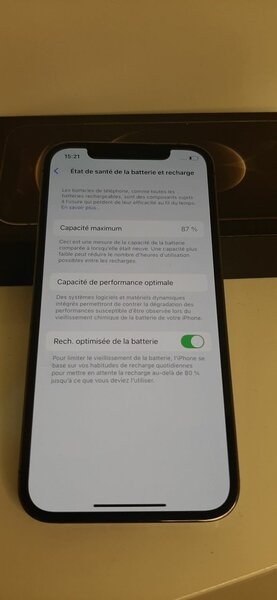 iPhone 12 Pro Max 256GB