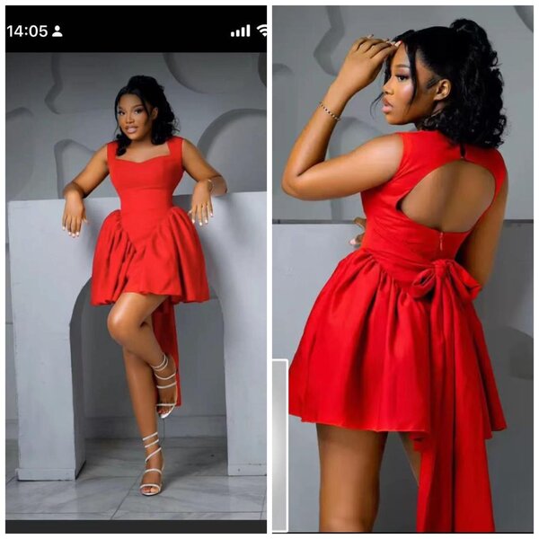 Ladies straight dress