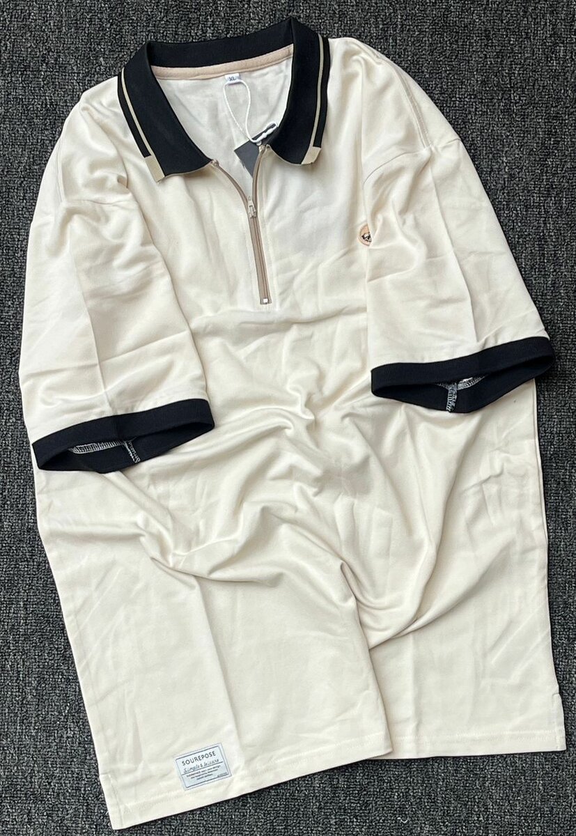 Polo Classique Homme