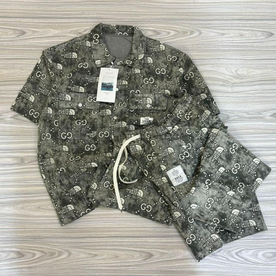 The north face brand