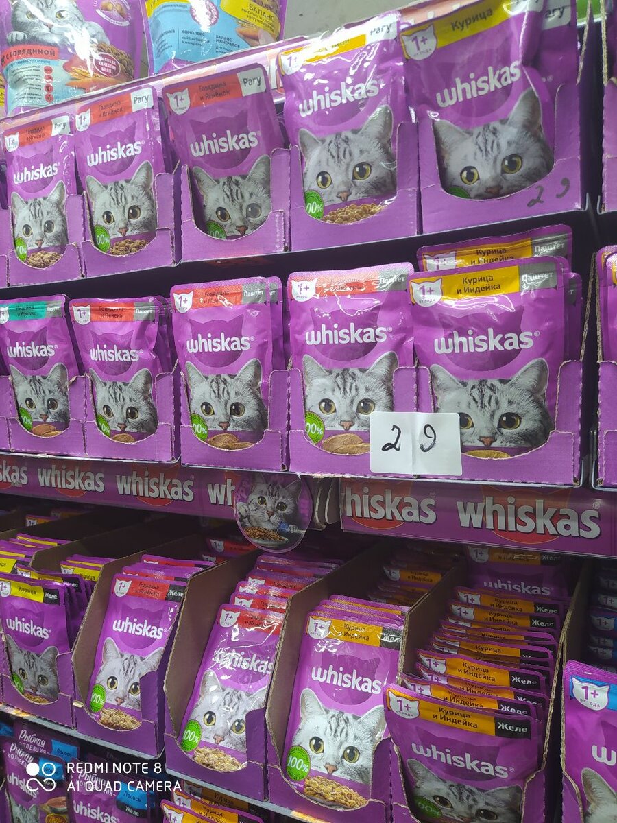 Влажный корм для кошек