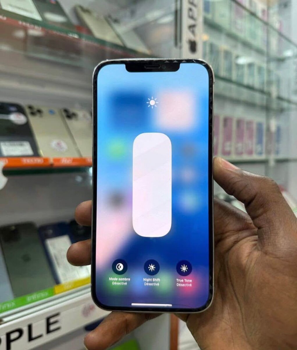 iPhone 12 Pro Max Blanc