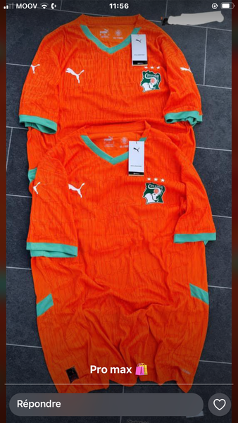 Maillot Côte d'Ivoire Puma