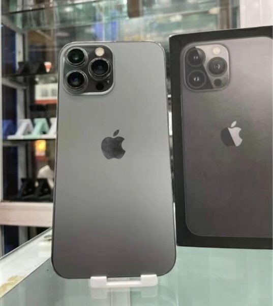 iPhone 13 Pro Max 256 Go