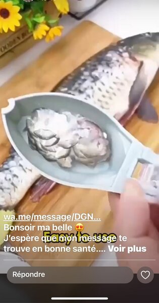 Écailleur à poisson pratique