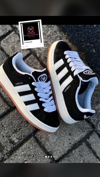 Basket adidas  campus authentique  avec sa boîte