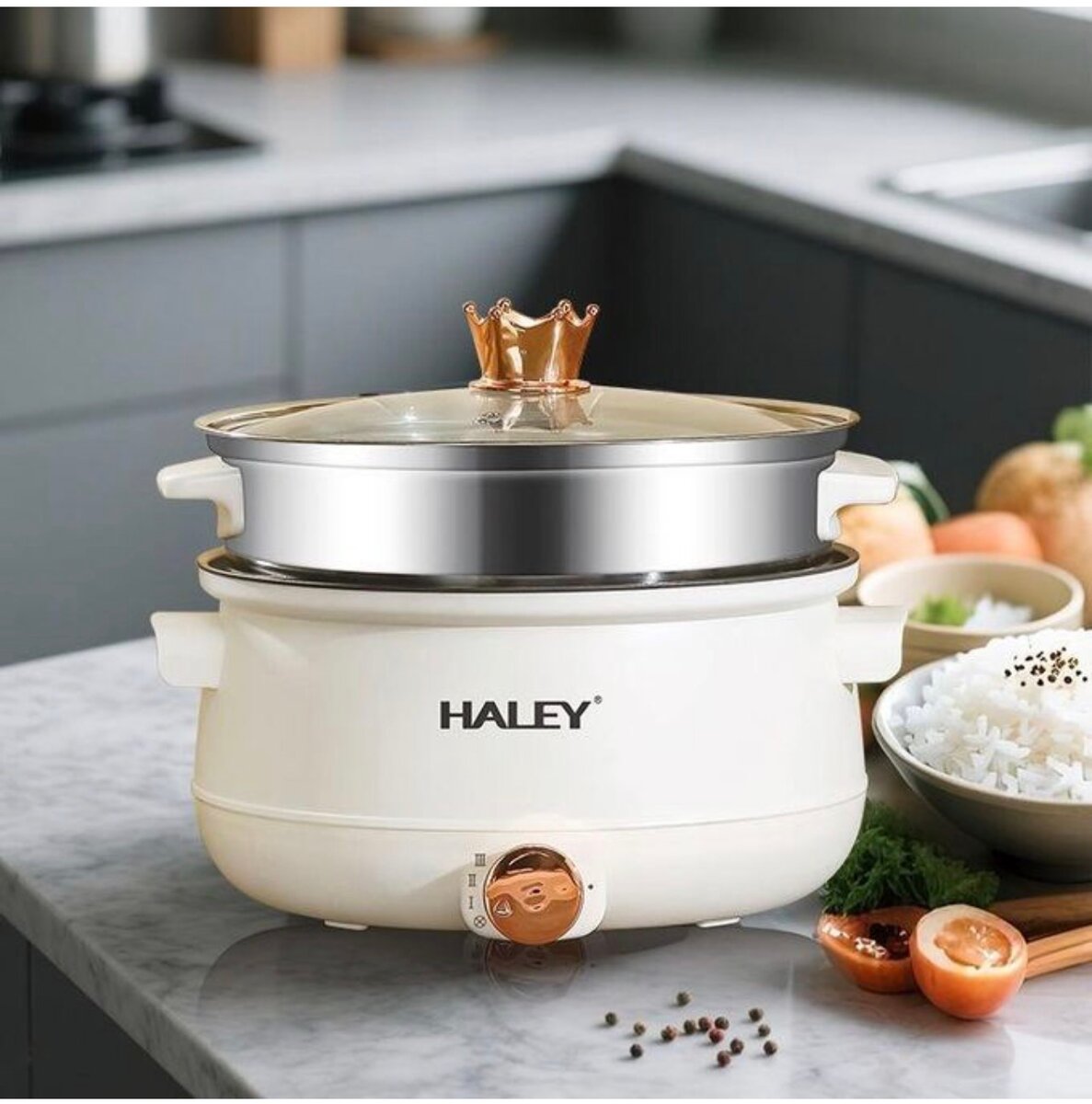 HALEY Cocotte Électrique Multifonction HY-505