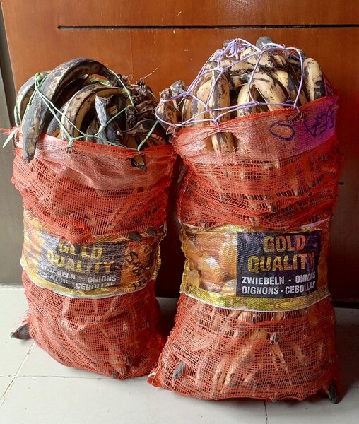 Plantains mûrs de qualité