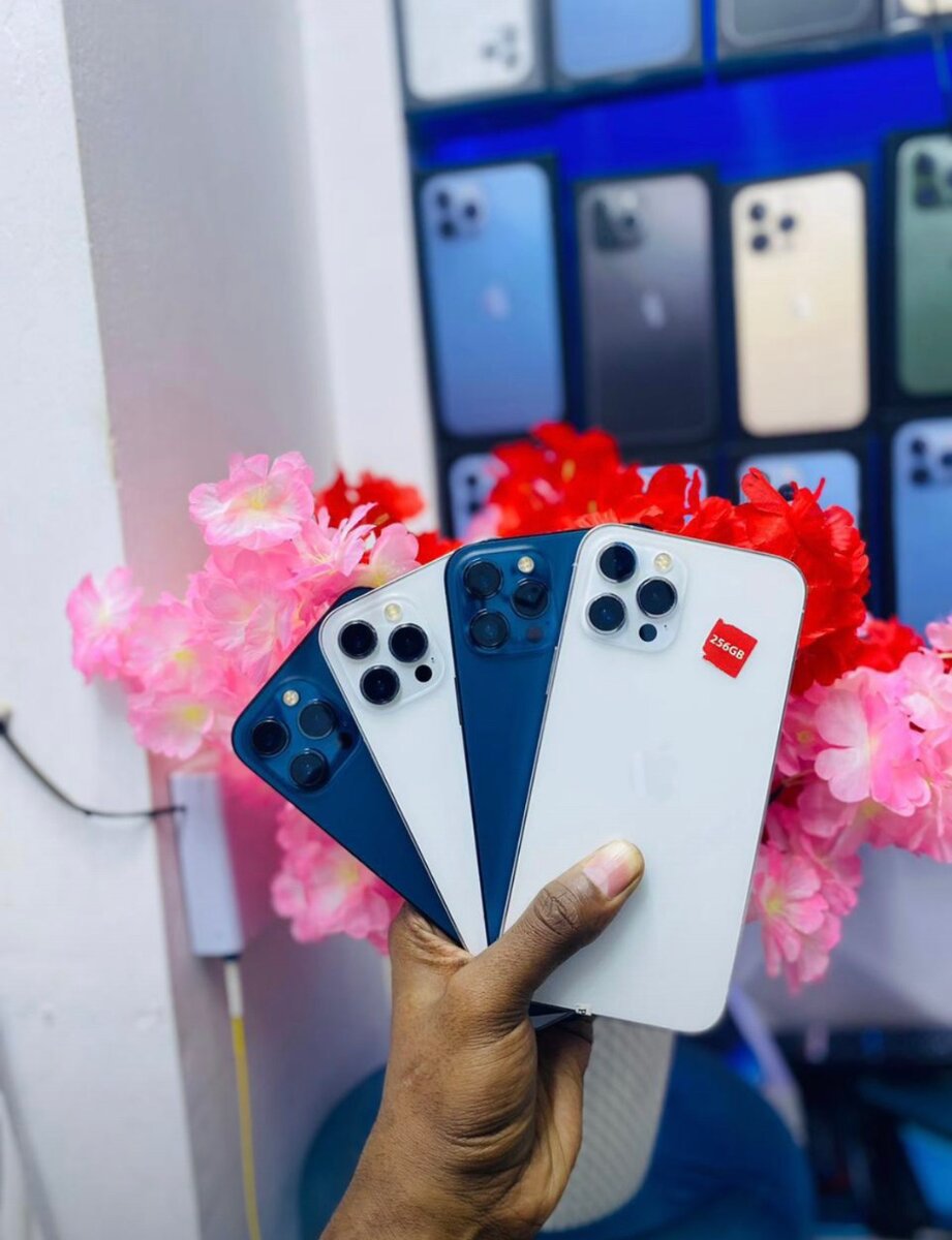 iPhone 12 Pro Max 256 gig