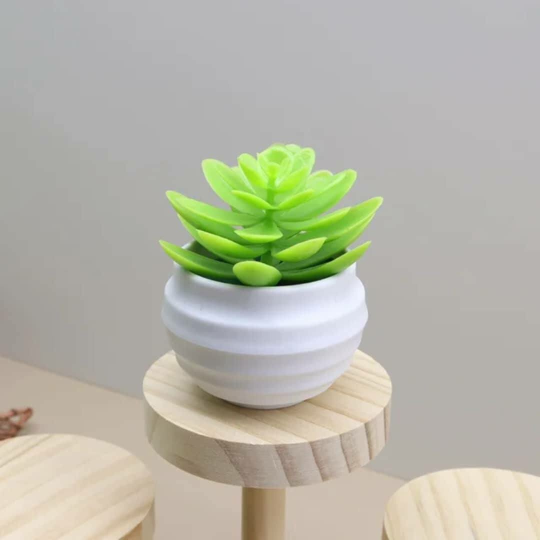 Mini Plantes Succulentes Artificielles