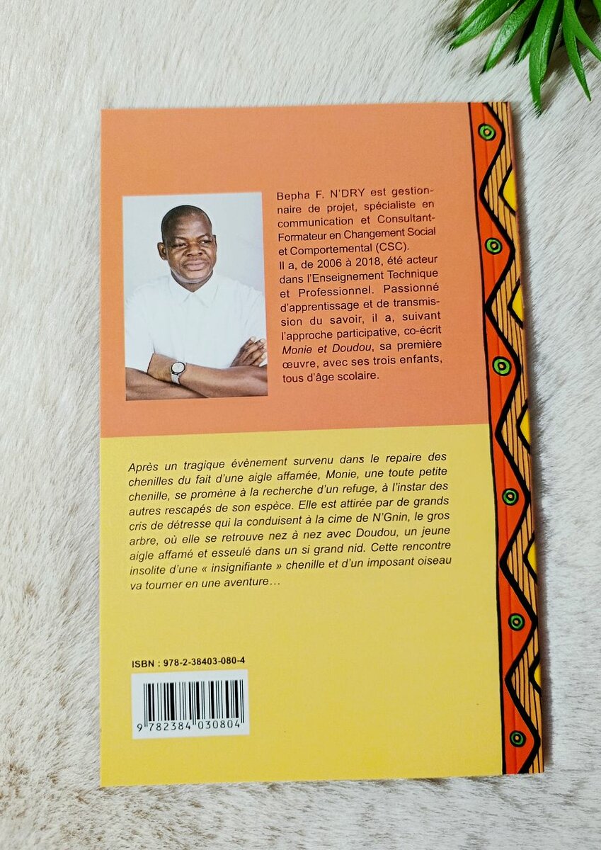 Livre jeunesse "Monie et Doudou"