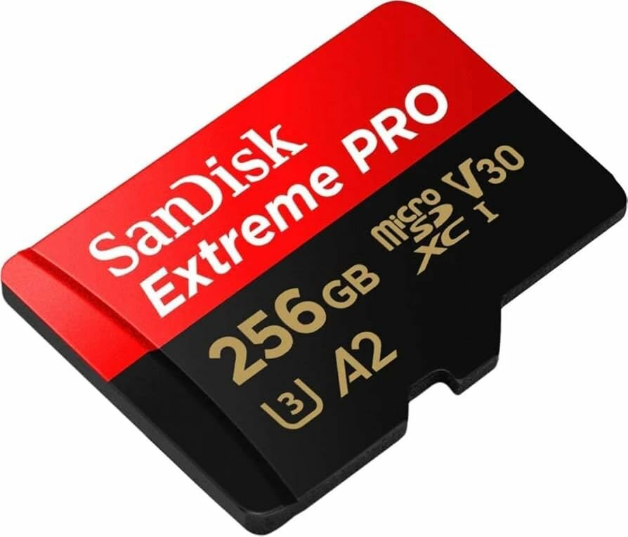 Carte microSDXC 256 Go SanDisk