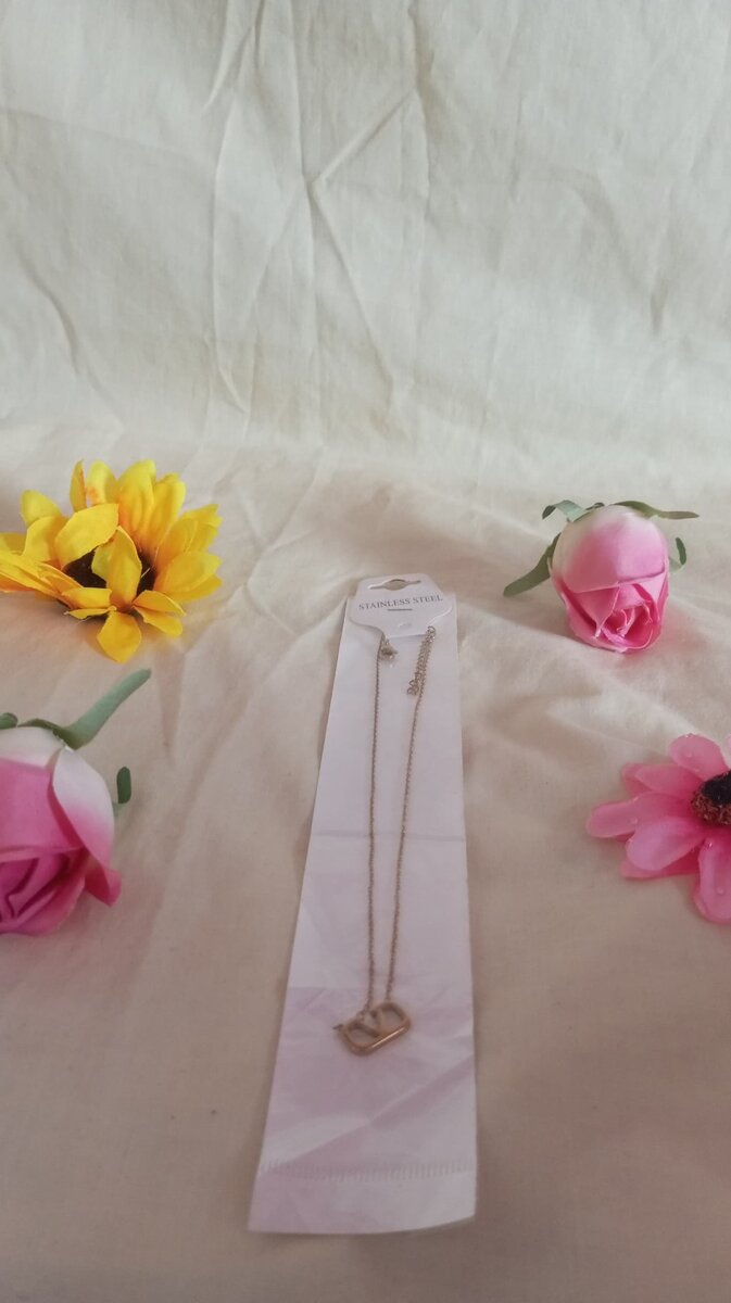 Collier en acier inoxydable élégant