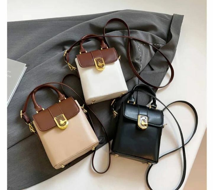 Petit Sac à Main Élégant