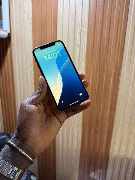 Smartphone élégant et performant