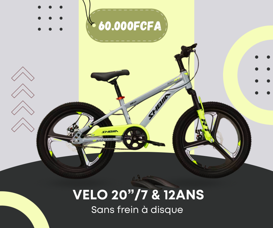 Vélo 20"