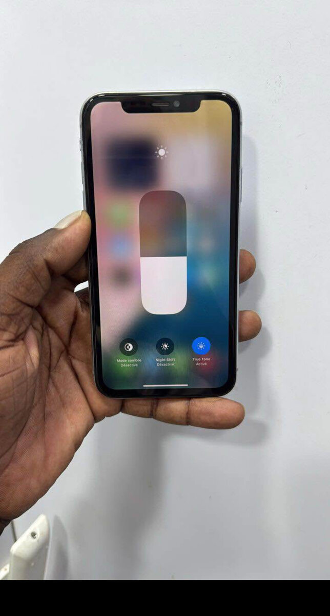 Apple iPhone 11 64GB Gris