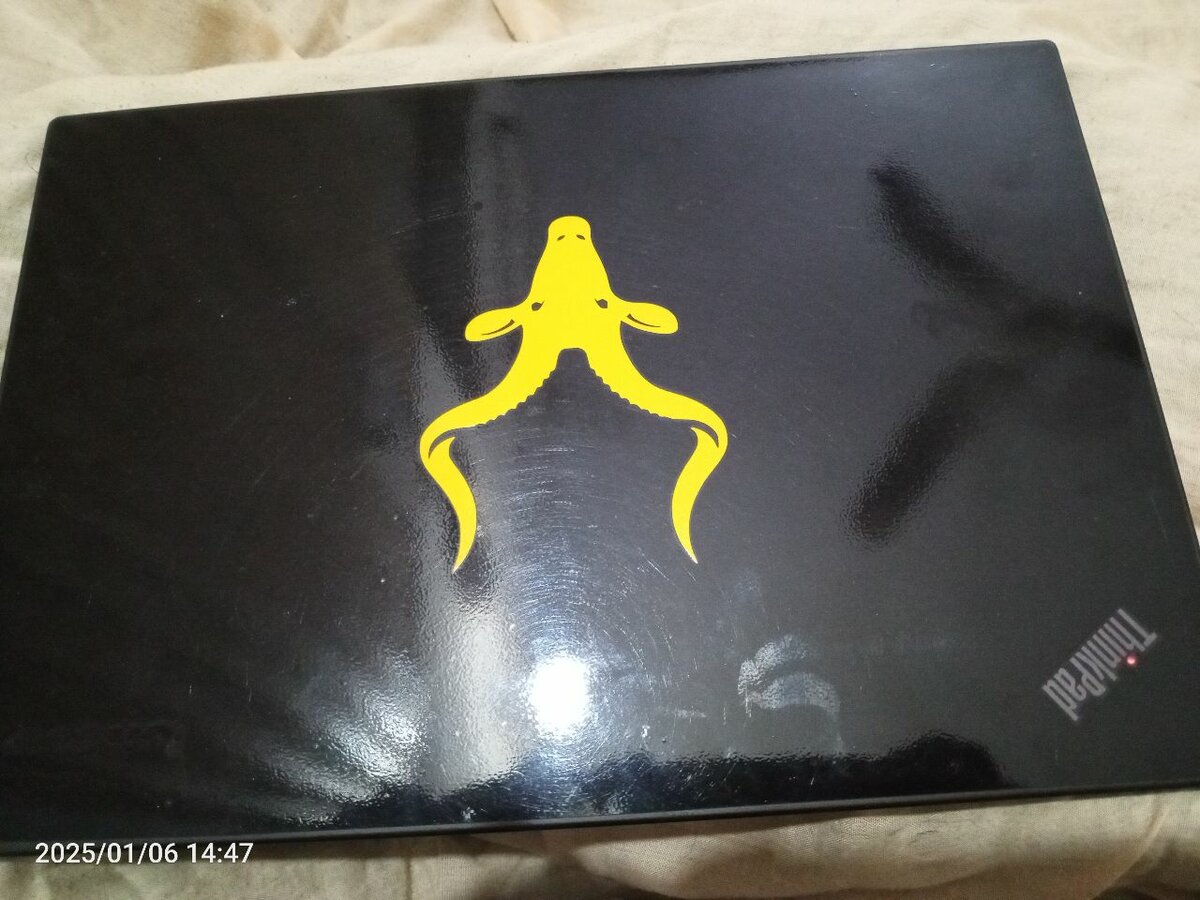 Lenovo Thinkpad T450