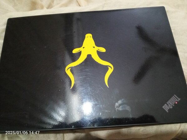 Lenovo Thinkpad T450