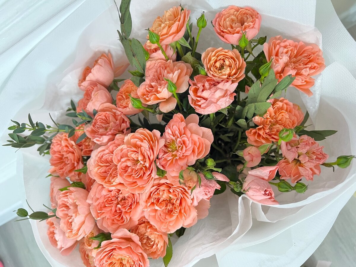 Персиковые розы