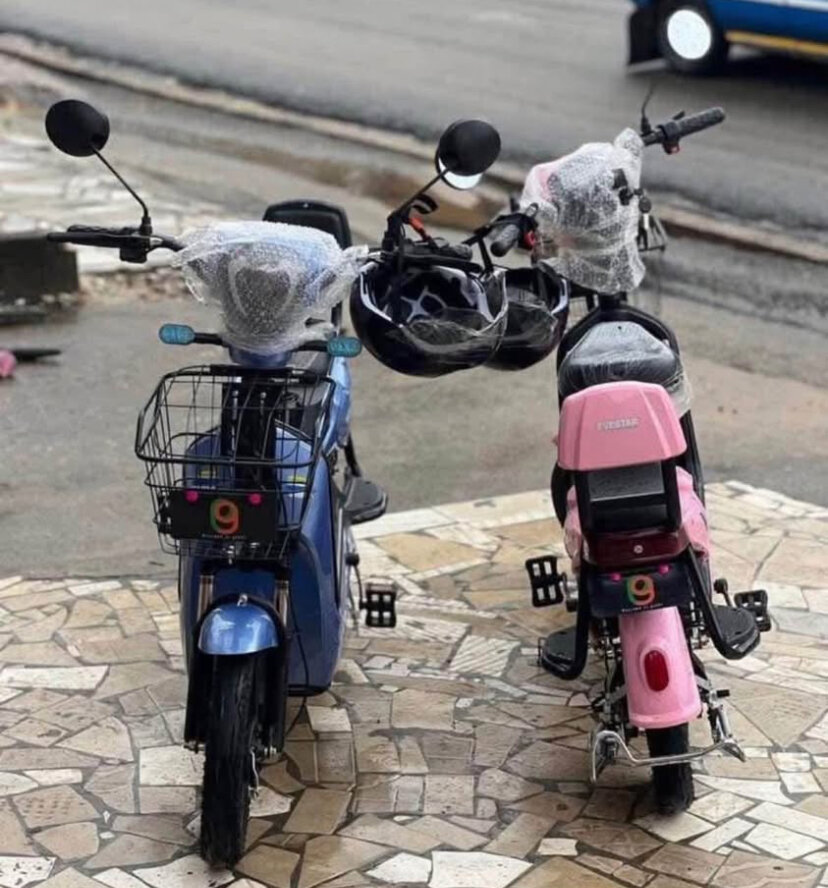 Scooters électriques élégants